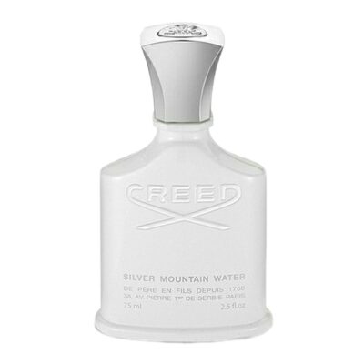 تستر ادو پرفیوم روونا مدل silver mountain water حجم 100 میلی لیتر